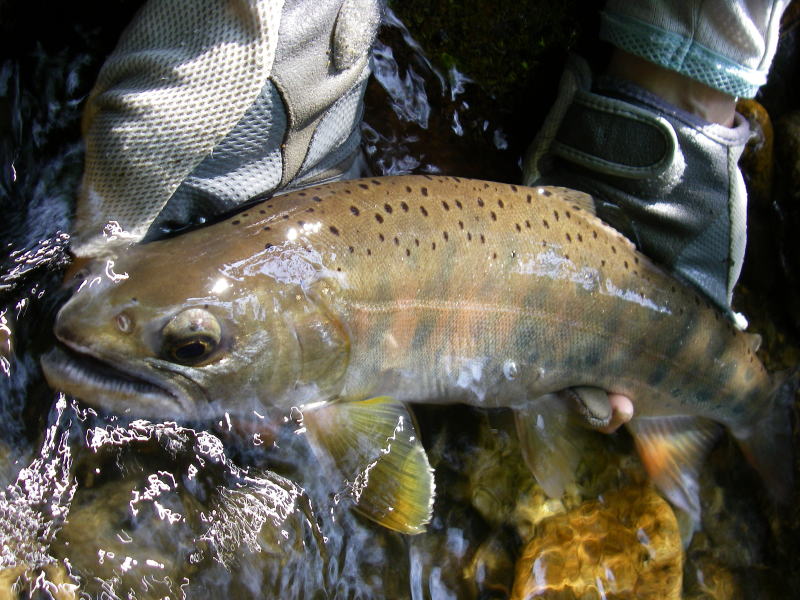 ちょっと迫力あり?